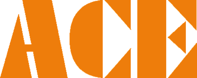ACE — client of Shaan Nexus Studio